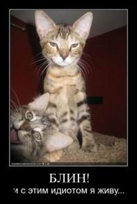 Демотиваторы