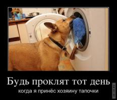 Собака по дому помогака