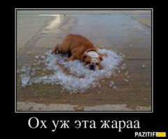 Это лето было жарким