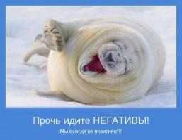 Субботние тюлени 