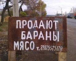 Смешные надписи и объявления