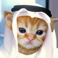 Персональные фотографии животных