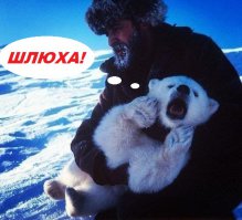 Самые красивые теннисистки мира