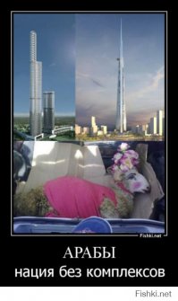 Соколиная охота в Арабских Эмиратах