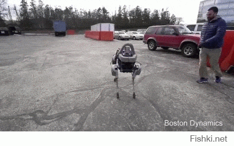 Бостонский робот на прогулке