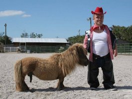 Самый крупный питбуль в мире