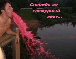 6 необычных и дорогих деликатесов мира