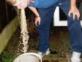 6 необычных и дорогих деликатесов мира