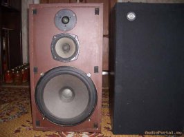 В моём детстве в далёком 1986 году, отец по большому блату, за огромные деньги, купил Муз. центр Россия 101 и югославские колонки HZK 12031, с тех пор я знаю что такое аналоговый звук, мне все друзья завидовали, долбило так что окна гудели и душу выносило из груди, хотя было 2 по 25 ватт...