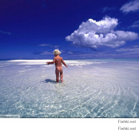 10 багов, которые стали главными "фишками" компьютерных игр