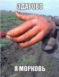 26 продуктов, которые отчаянно не хотят быть съеденными  