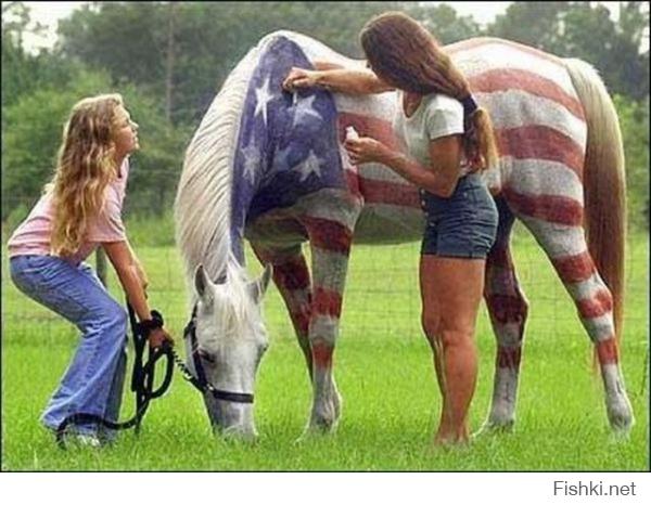 "Идиотов хватает в любой стране...", 
"Да у нас "патриотизм" не лучше. Фанатизм голый", 
"Долбоёбов в любой стране хватает!"
"Не то, что у нас"

Фото "жопы в трусах" одного идиота - это не вся страна. 

Так всё же, в какой самой исключительной стране "ура-поцреотов" больше всего? И чем они отличаются от патриотов других стран?