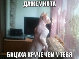 Картинки со смешными подписями