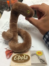 Фотоподборка за 18.05.2015