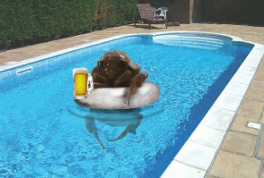 Шмель, который застрял