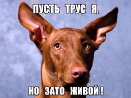 Ограбление