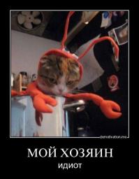 Из той же серии))