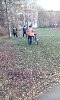 Коммунальные войска быстрого велосипедного реагирования