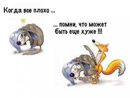 Спасение собаки