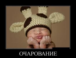 Фишкина солянка за 14.08.2014 