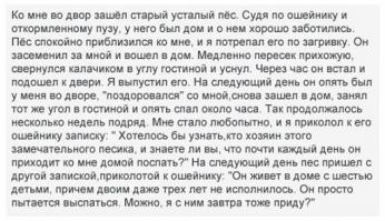 Фишкина солянка за 16.08.2014 