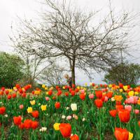 Фишкина солянка за 25.08.2014