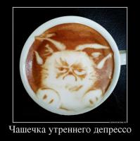 Фишкина солянка за 30.08.2014 г.