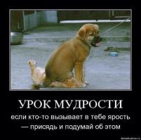 Животные с самыми странными особенностями тела 