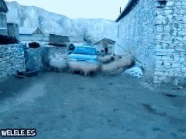 Жених в аул приехал