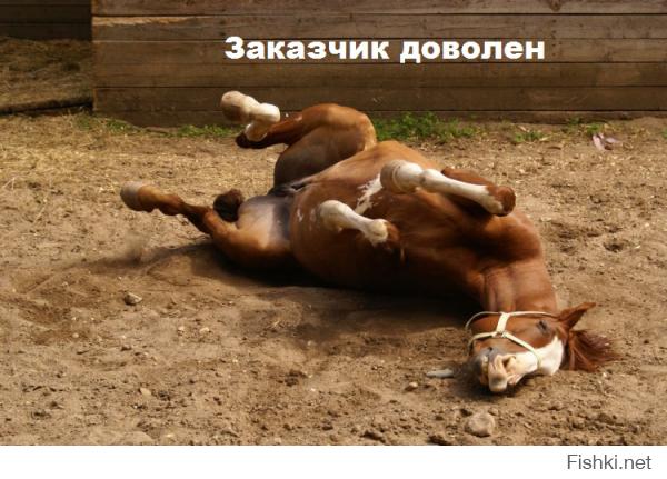 Как подковывают лошадей