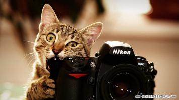 Фотографии сделанные при помощи Советских объективов Гелиос, Юпитер,..