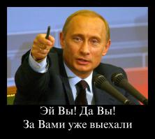 Собаки похожие на кого-то другого 