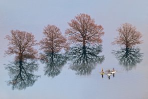  Лучшие фотографии месяца