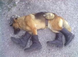 Просто парень ноги разминает, застоялся, я в карауле и не такое творил