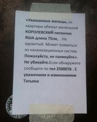 О, Яша нашёлся)))