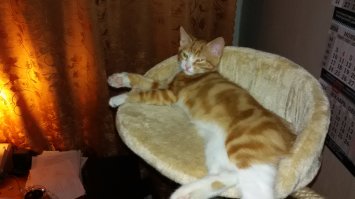 родственник?