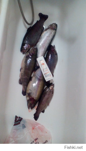 Традиционный фестиваль горной форели 