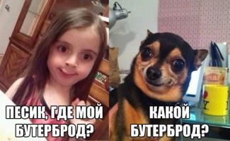  Картинки со смешными подписями