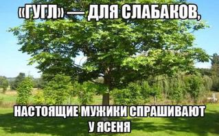 Фишкина солянка за 16.07.2014
