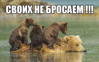 Солянка для Майдана. Часть 83