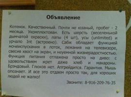 Смешные надписи и объявления