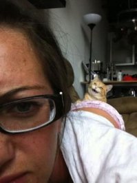 Разделяю возмущение кота: животное на переднем плане просто испортило фото!