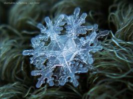 Как фотографировать снежинки