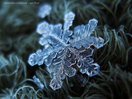 Как фотографировать снежинки