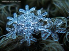 Как фотографировать снежинки