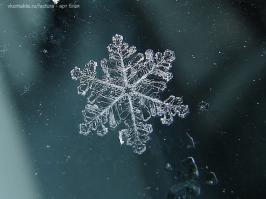 Как фотографировать снежинки