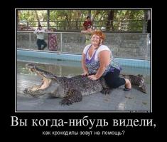 Картинки со смешными подписями