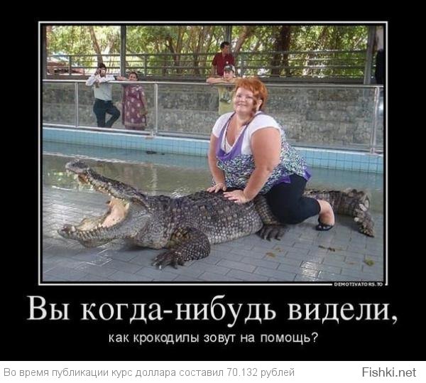 Из солянки от 16.12.2014