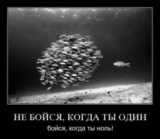 Они подумали, что это нефтяное пятно. Но, когда подплыли поближе, то были ошарашены  