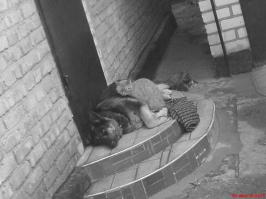 Он любит своего старшего брата так